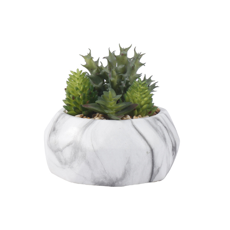 Potted-Succulent-Arrangement-Plants-Artificial-Succulents-Home-Decoration (2).jpg